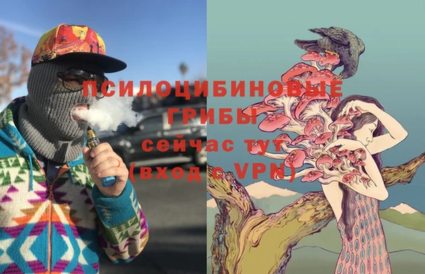 а пвп мука Михайлов