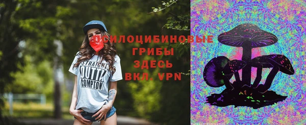 твердый Алагир