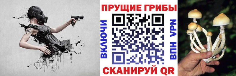 Псилоцибиновые грибы мухоморы  kraken сайт  Нерехта 