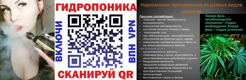 Каннабис White Widow  даркнет сайт  мориарти состав  Нерехта 